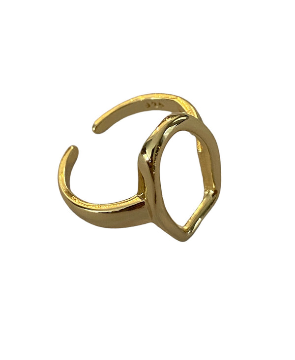 Frame gold ring accessory #4002